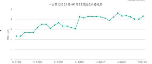 石门市场今日瓜价行情,今日瓜价行情一览