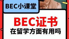 成都今日吃瓜爆料视频,街头巷尾热辣事件大盘点