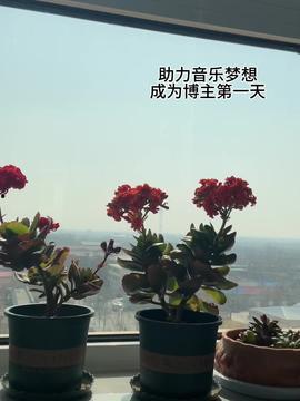 今日头条的哈密瓜,甜蜜诱惑，夏日解暑佳品