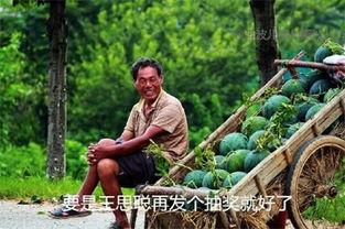 今天吃瓜爆料是真的吗,真相揭秘，是真是假？