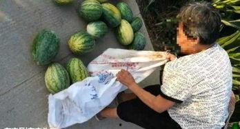吃瓜最新事件爆料山西,吃瓜群众揭秘惊天大案！