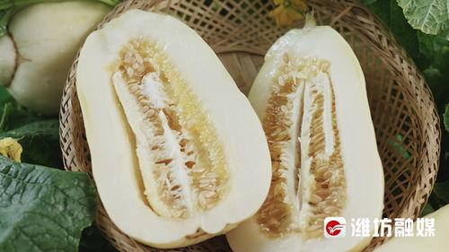 青州白银瓜今日价格,价格行情一览”