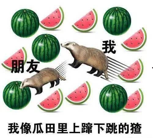 今日吃瓜必吃大瓜top,吃瓜群众热议的顶级大瓜盘点