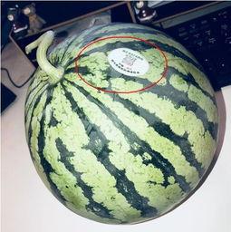 网红爆料吃瓜头像