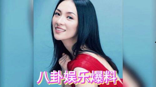 吃瓜明星爆料高叶,娱乐圈风云再起！