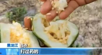 辽源吃瓜爆料视频曝光,揭秘背后惊人真相