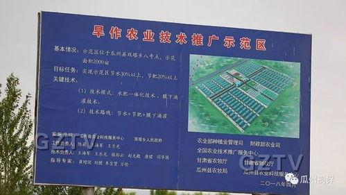 瓜州县双塔镇今日头条,聚焦发展新动态，共话乡村振兴路