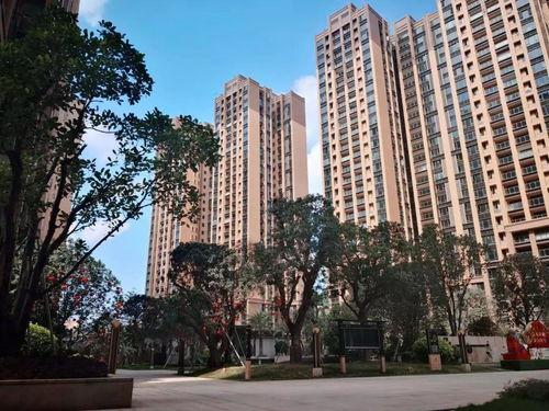 万邦今日蜜瓜行情分析,供需动态解析与趋势展望