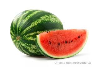 今日广东白瓜最新价格,最新行情一览”