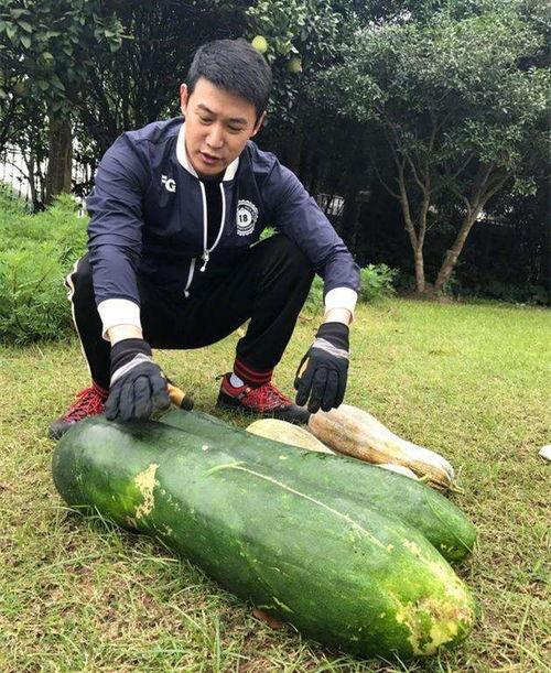 濮阳医专吃瓜爆料