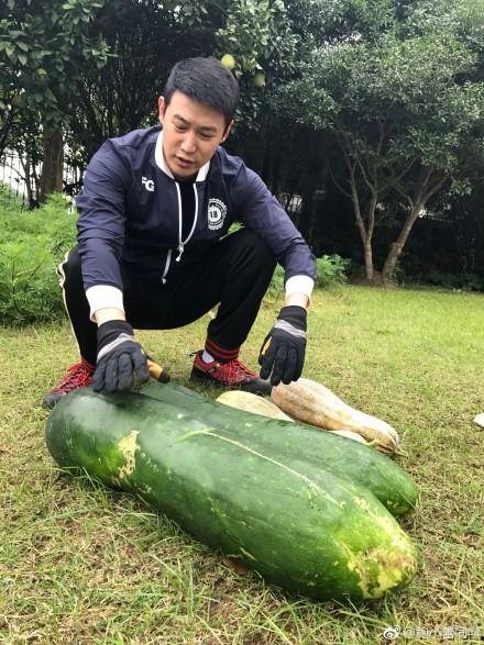 怎么吃爆料瓜,如何轻松吃透爆料瓜，成为八卦达人
