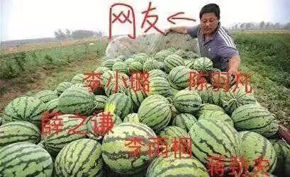 怎么吃爆料瓜,如何轻松吃透爆料瓜，成为八卦达人