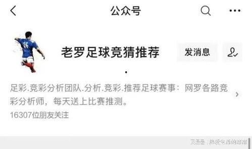 瓜哥今日推荐,揭秘热门话题背后的精彩故事