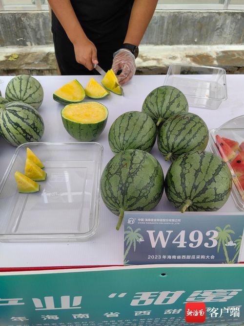 2023年吃瓜黑料新闻