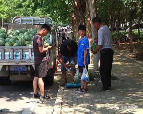 泗水吃瓜群众爆料后续事件,真相大白，事件再掀波澜