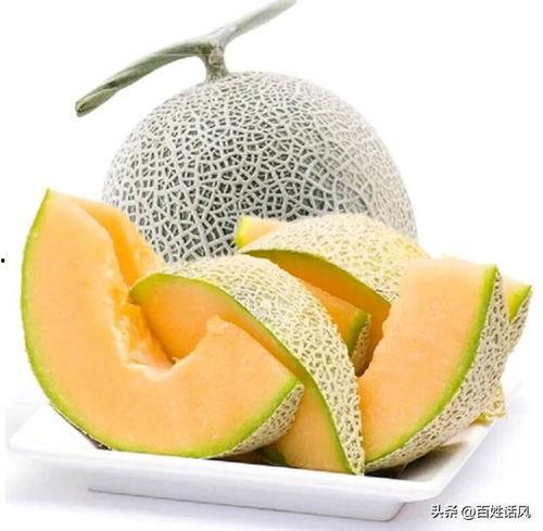 红星水果批发市场哈密瓜今日价格,价格行情一览”
