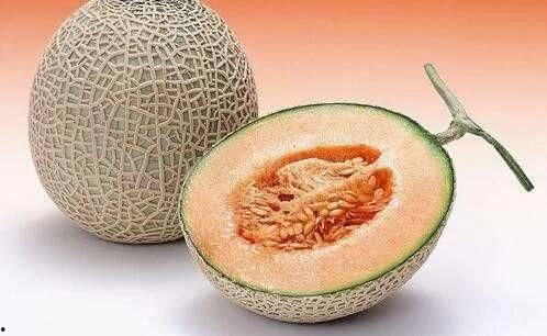 红星水果批发市场哈密瓜今日价格,价格行情一览”