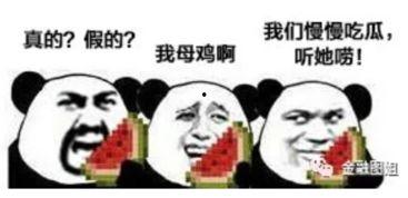 吃瓜百科搞笑爆料,爆笑爆料，娱乐圈那些事儿
