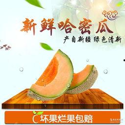 今日新疆哈密瓜行情,甜蜜丰收，价格波动下的市场动态