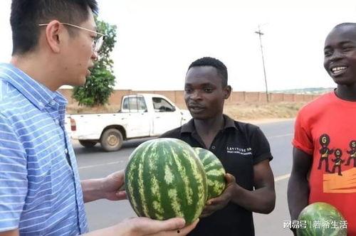 黑爱工作室即将被吃的瓜,揭秘即将爆发的瓜界风暴