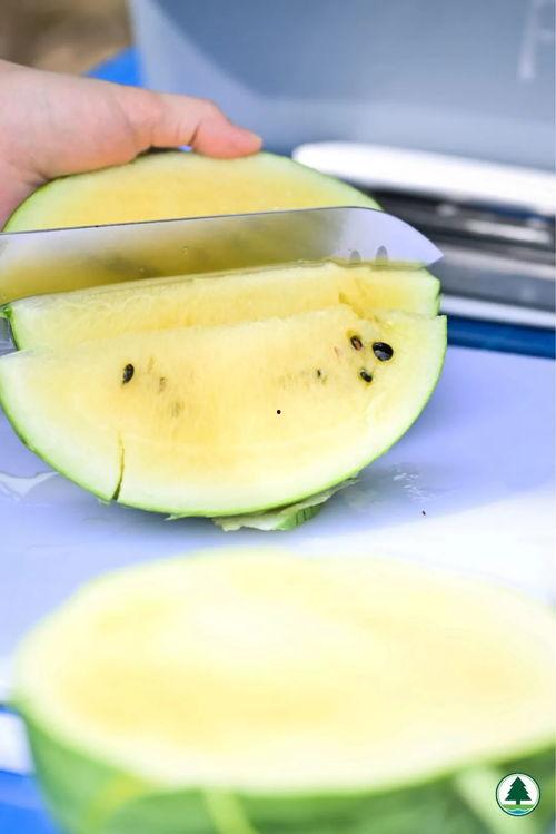 吃瓜爆料香港,吃瓜爆料，揭秘幕后真相