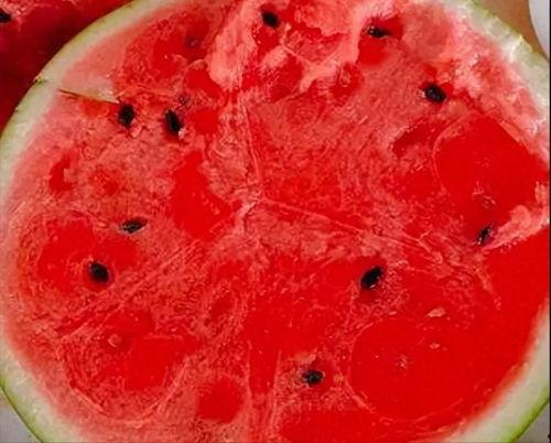 胃炎可以吃黑瓜吗小孩子,黑瓜适宜与否解析