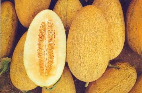 潍坊今日哈密瓜价格表,市场供需两旺