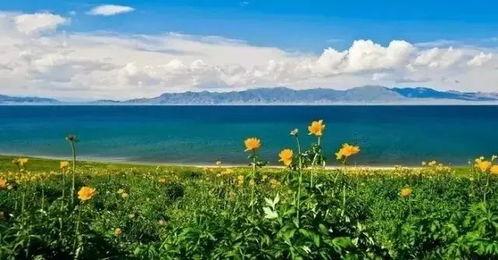 今日去瓜州旅游怎么样,探寻丝绸之路的历史足迹