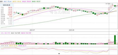 飞瓜数据今日股价多少,探秘飞瓜数据股价动态