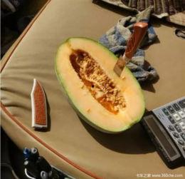 今日吃瓜的作品有哪些名字,盘点热门吃瓜作品