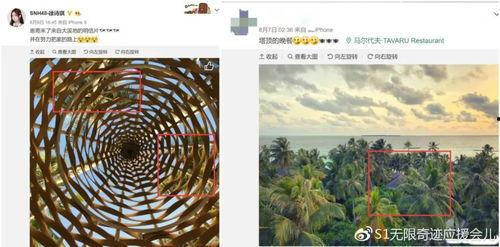 丽水今日热瓜事件视频最新,揭秘今日网络热议焦点背后的真相