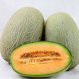 黑妹吃哈密瓜图片高清大图,黑妹畅享哈密瓜美味时光