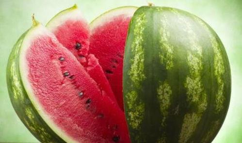 今日适宜吃瓜小说,今日适宜阅读的清凉小说推荐