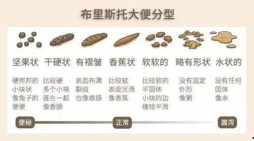 吃毛瓜大便黑怎么回事,毛瓜摄入过多导致大便变黑的探究与解析