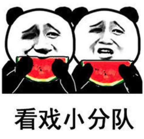 狗仔吃瓜爆料表情包,娱乐圈爆料狂欢