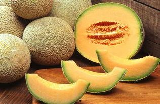 浙江嘉兴哈密瓜今日走量,走量突破新高