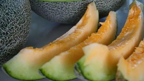 浙江嘉兴哈密瓜今日走量,走量突破新高