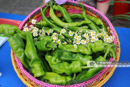 吃瓜爆料广西视频,视频揭秘当地热点事件