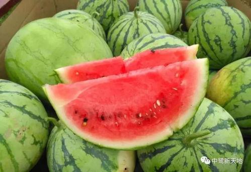 长春今日吃瓜事件视频,一场网络热议的真相揭秘