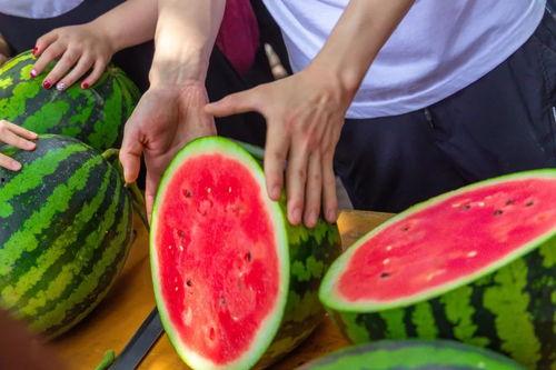 长春今日吃瓜事件视频,一场网络热议的真相揭秘