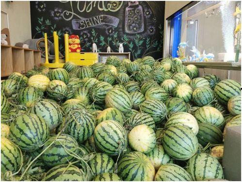 长春今日吃瓜事件视频,一场网络热议的真相揭秘