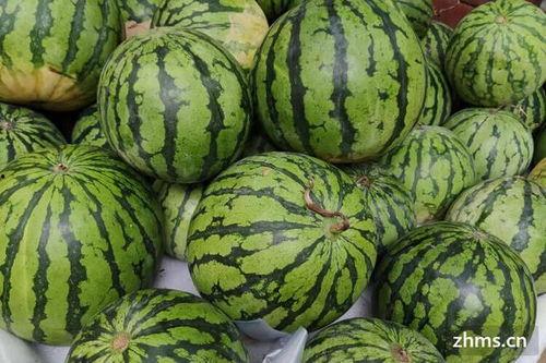 麒麟瓜带黑籽可以吃吗,安全与营养并重