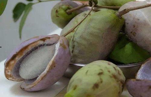 八月瓜里面的黑籽怎么吃,八月瓜黑籽的神奇食用方法揭秘