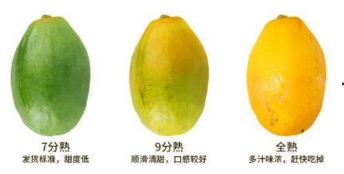 51cg吃瓜网今日吃瓜在线入口,揭秘今日吃瓜在线入口，畅享热门话题盛宴