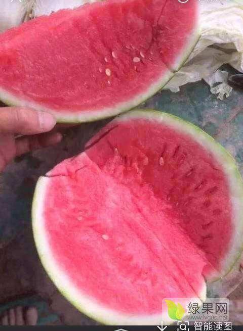 夏邑今日瓜价,新鲜瓜果价格一览