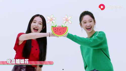 爆料吃瓜许晴视频大全集,揭秘娱乐圈不为人知的真相