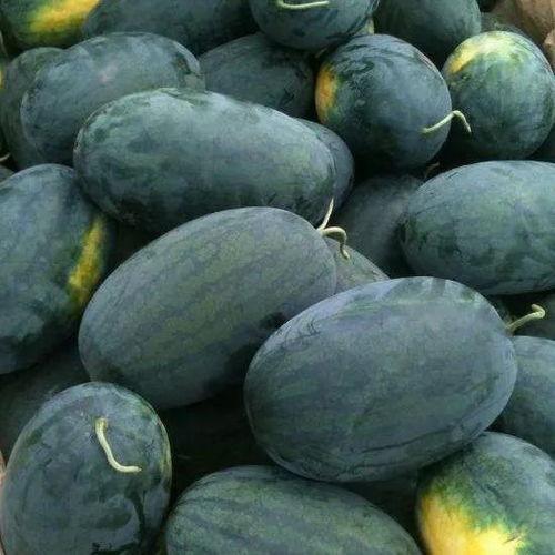 秃仔黑吃瓜,揭秘娱乐圈幕后风云