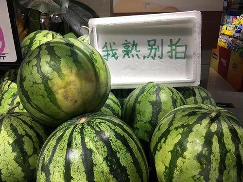 新疆今日的瓜,今日新疆瓜的甜蜜诱惑