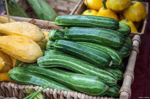 寿光菜价今日菜价吊瓜,吊瓜价格行情一览