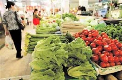 寿光菜价今日菜价吊瓜,吊瓜价格行情一览